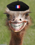 FrenchBuggy emote for Discord