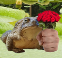 frogFlower static emote for Discord, Twitch and Slack