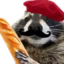 frenchRaccoon emote for Discord