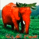 frutielefante static emote for Discord, Twitch and Slack