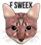 FSWEEXCAT emote for Discord
