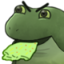 FrogeWTF emote for Discord