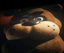 freddyFILM emote for Discord