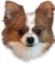 FrankHuh emote for Discord