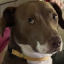 Fruity static emote for Discord, Twitch and Slack