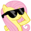 FSSWAG emote for Discord