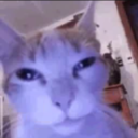 frame467delay473s static emote for Discord, Twitch and Slack