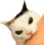 FuckedUpEvilCreature emote for Discord