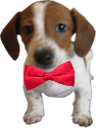 FullTie static emote for Discord, Twitch and Slack