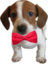 FullTie emote for Discord