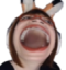 FoxyOLUL emote for Discord