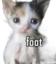 Foottt emote for Discord