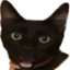 Fosk emote for Discord