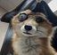 FoxPirate emote for Discord