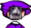 foxCatCry static emote for Discord, Twitch and Slack