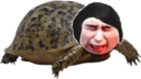 fobmTurtlePain static emote for Discord, Twitch and Slack