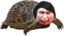fobmTurtlePain emote for Discord