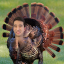 fobmTurkey static emote for Discord, Twitch and Slack