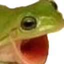 FROGGERS static emote for Discord, Twitch and Slack