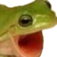FROGGERS emote for Discord