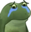 FrogeSad emote for Discord
