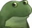 FrogeConcern emote for Discord