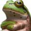 FrogCross emote for Discord
