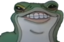 Froggy emote for Discord