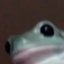 frog emote for Discord