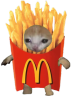 FryCat static emote for Discord, Twitch and Slack