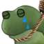 FrogeRopeSad emote for Discord