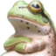 FrogPout emote for Discord