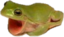 FROGYELL emote for Discord