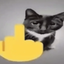 frickyoucat emote for Discord