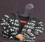 freshpigeon emote for Discord
