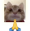 frankpraise emote for Discord