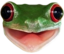 FrogU emote for Discord