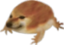 Freems emote for Discord