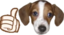 frankerNice emote for Discord