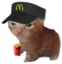 friesinthebagbert emote for Discord