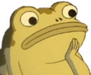 frogThink static emote for Discord, Twitch and Slack