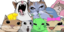 Friendgroup emote for Discord