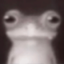 frogStare emote for Discord