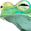 frogsus emote for Discord