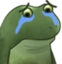 FrogeSad emote for Discord
