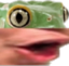 froggers emote for Discord