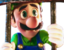 FreeLuigi emote for Discord