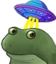 FrogeUFO emote for Discord