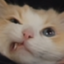 Freaky emote for Discord