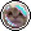 frankthebubble emote for Discord